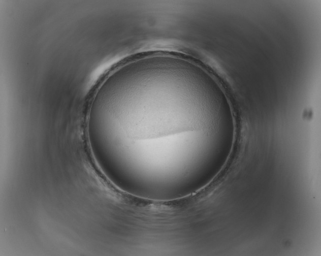 X0000111211312200907011434