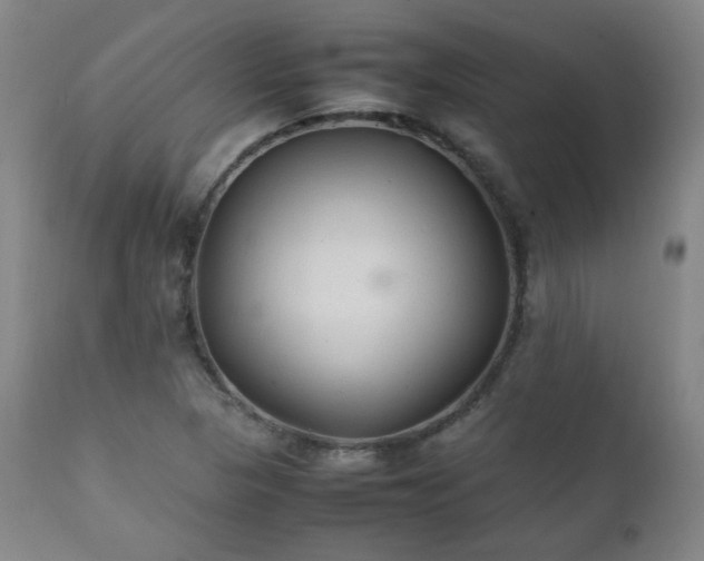 X0000111211313200907011434