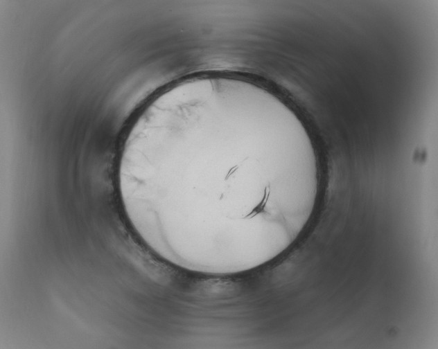 X0000111211314200907011434