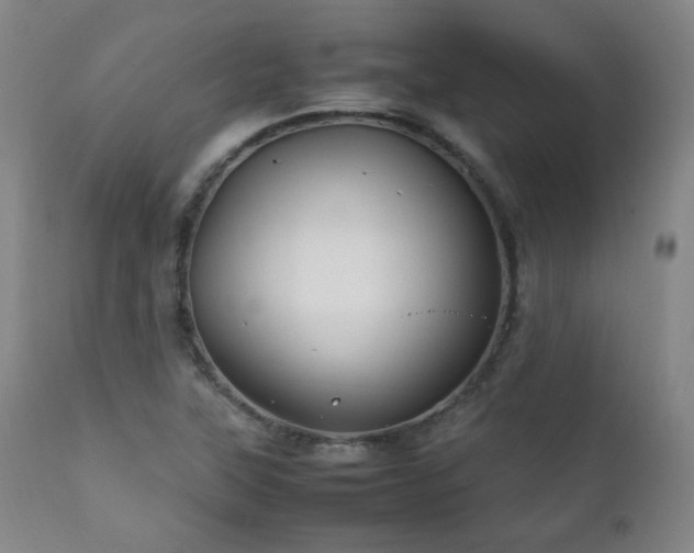 X0000111211315200907011434