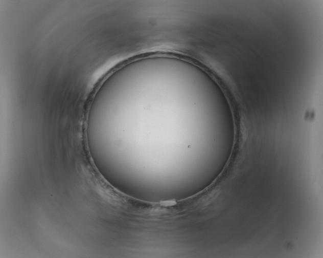 X0000111211316200907011434