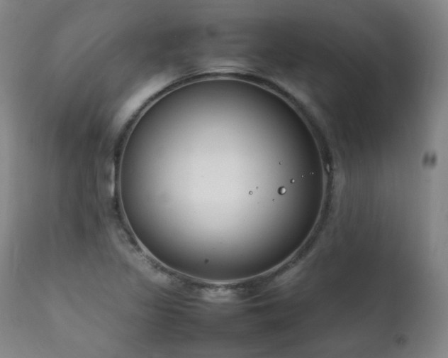 X0000111211317200907011434