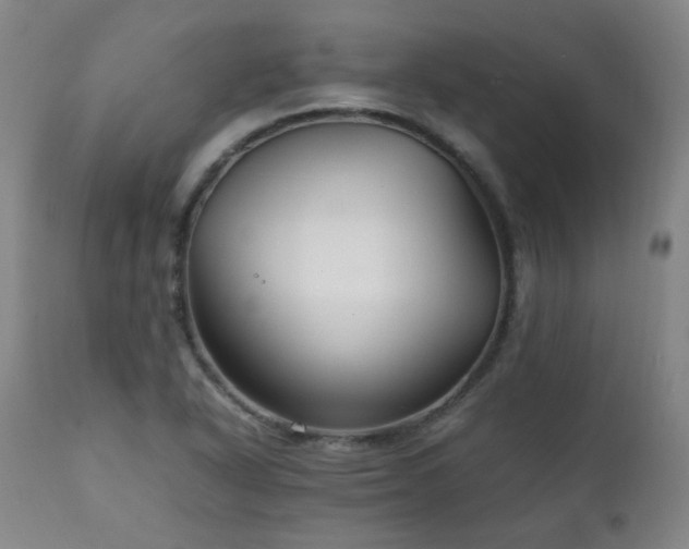 X0000111211318200907011434