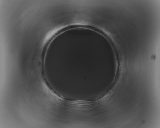 X0000111211319200907011434