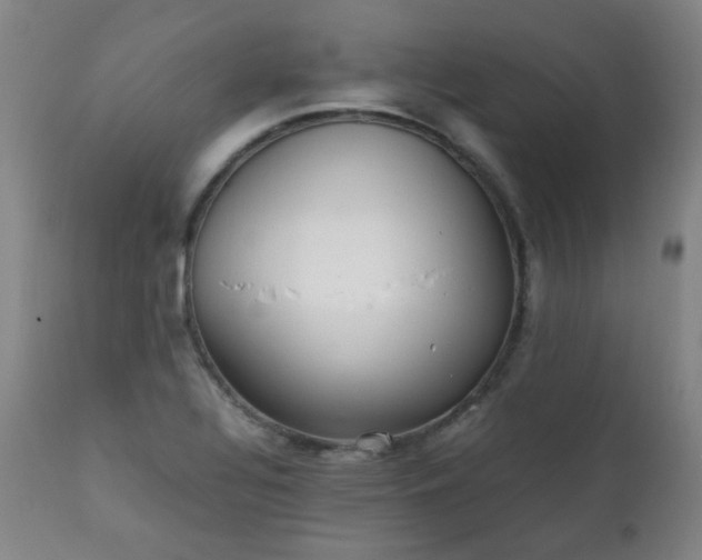 X0000111211320200907011434