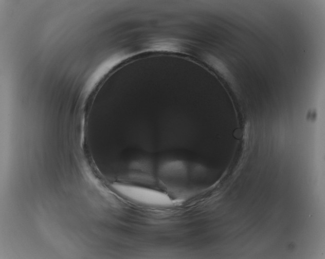 X0000111211323200907011434