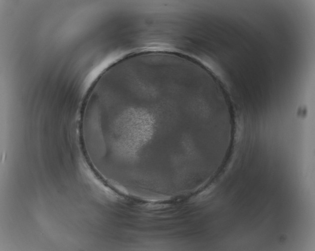 X0000111211325200907011434