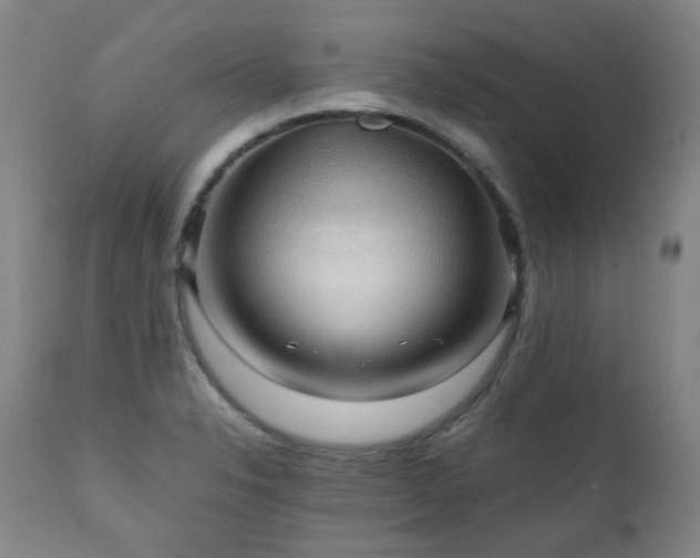 X0000111211326200907011434