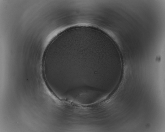 X0000111211327200907011434