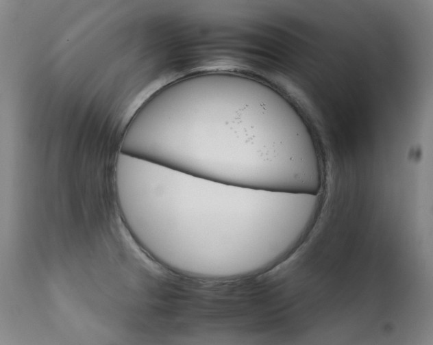 X0000111211329200907011434