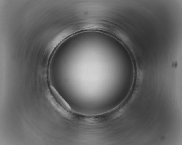 X0000111211330200907011434