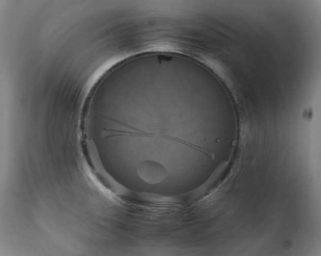 X0000111211331200907011434