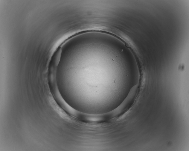 X0000111211332200907011434