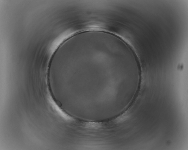 X0000111211333200907011434