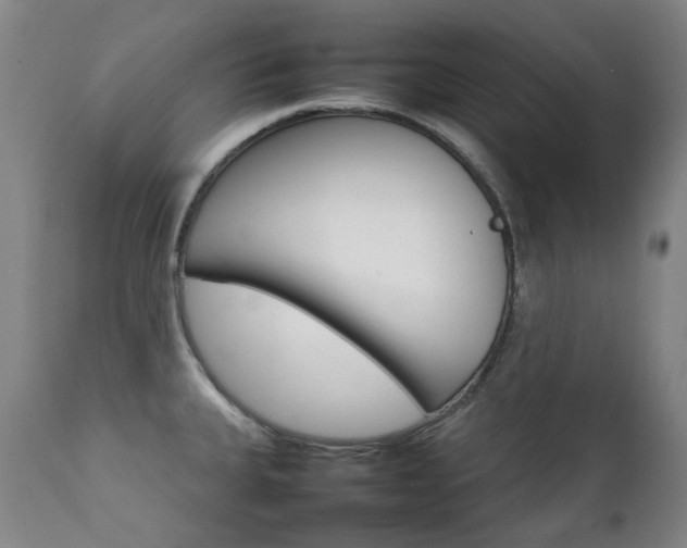 X0000111211335200907011434