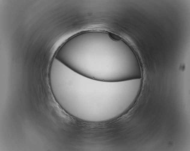 X0000111211336200907011434