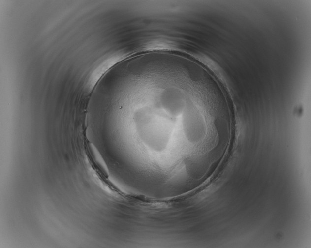 X0000111211337200907011434