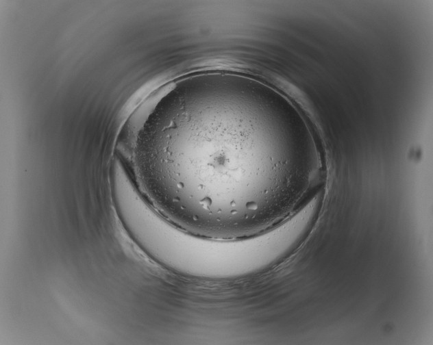 X0000111211338200907011434