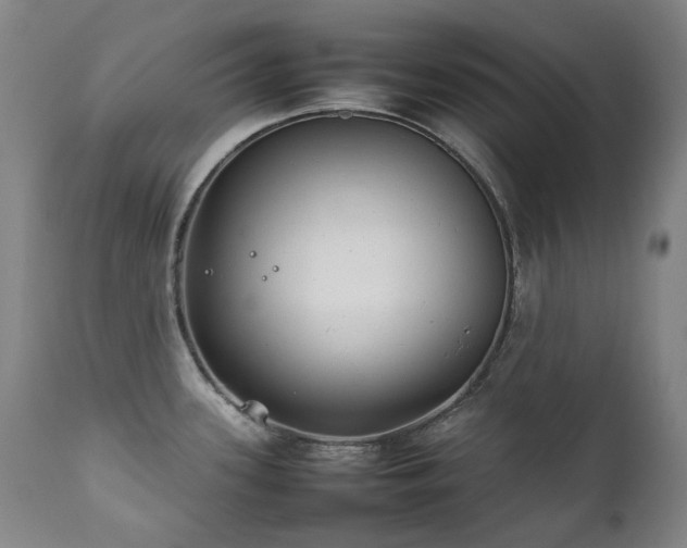 X0000111211339200907011434