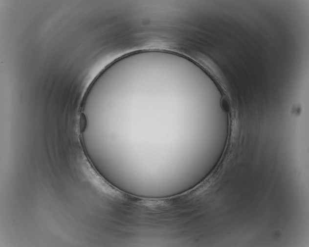 X0000111211340200907011434