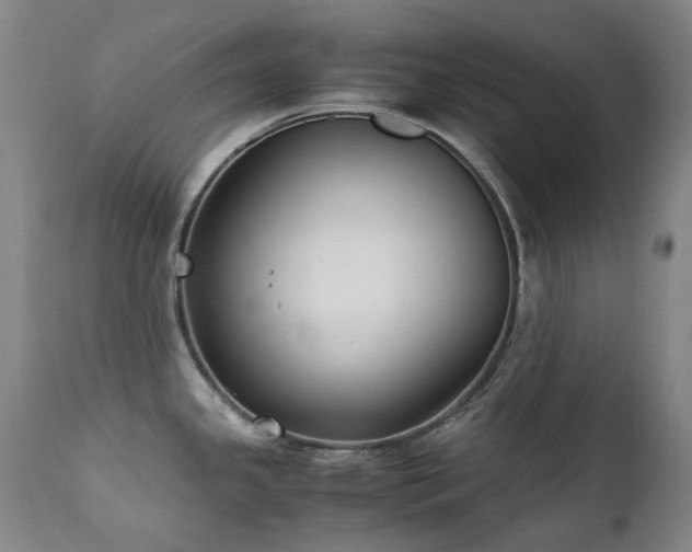 X0000111211341200907011434