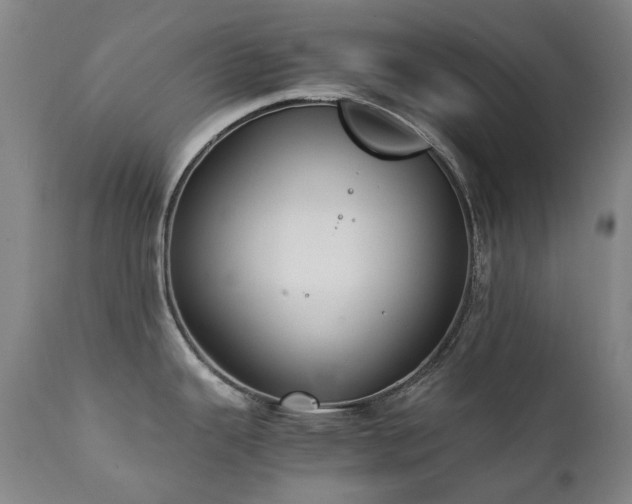 X0000111211343200907011434