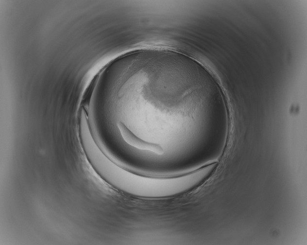 X0000111211344200907011434