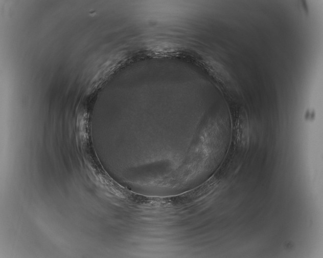 X0000111211346200907011433