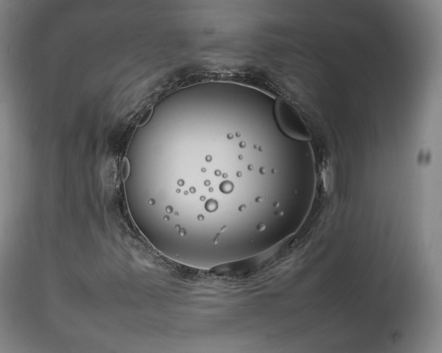 X0000111211347200907011433