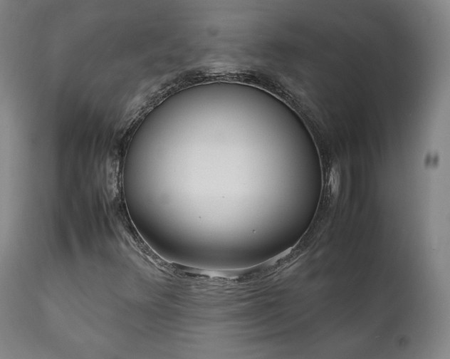 X0000111211348200907011433