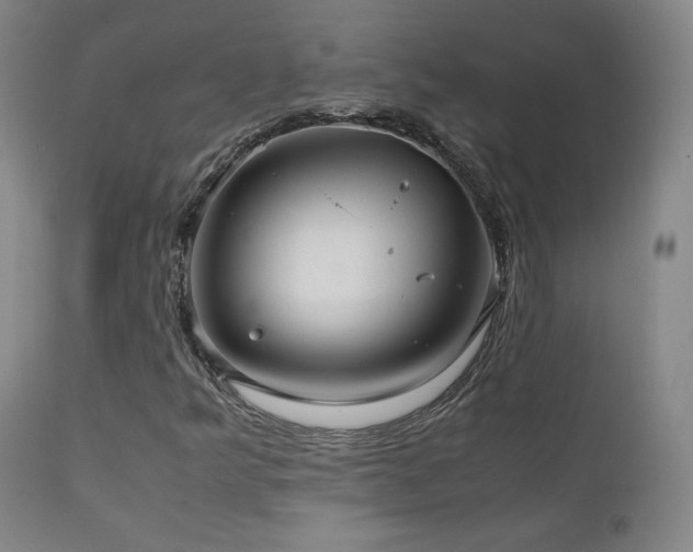 X0000111211349200907011433