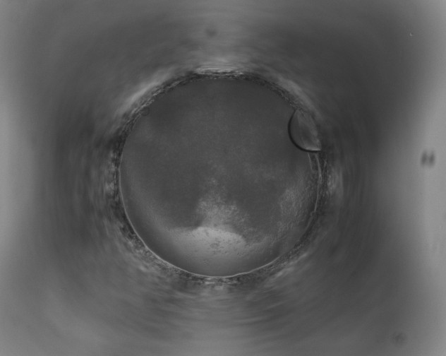 X0000111211350200907011433