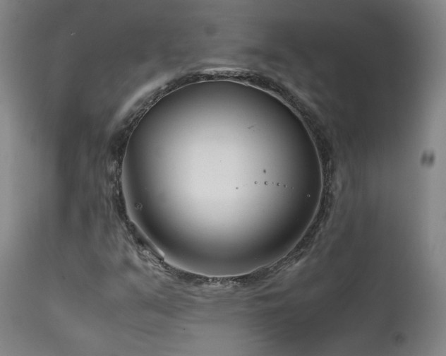 X0000111211351200907011433