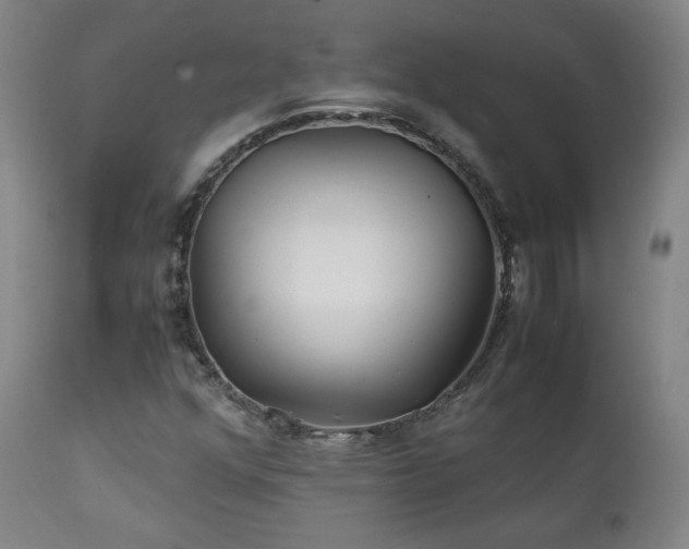 X0000111211352200907011433