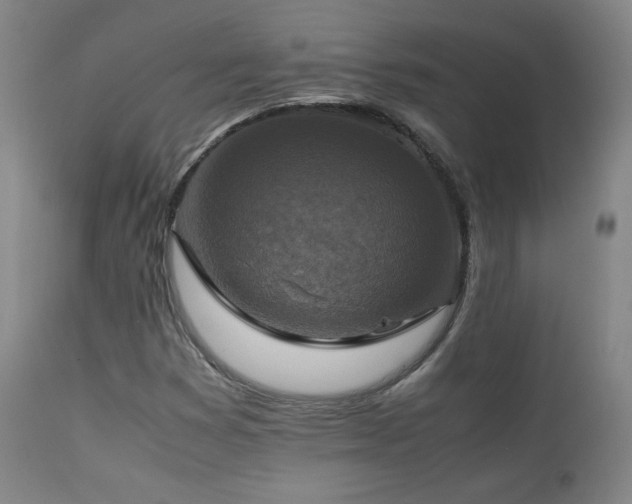 X0000111211353200907011433