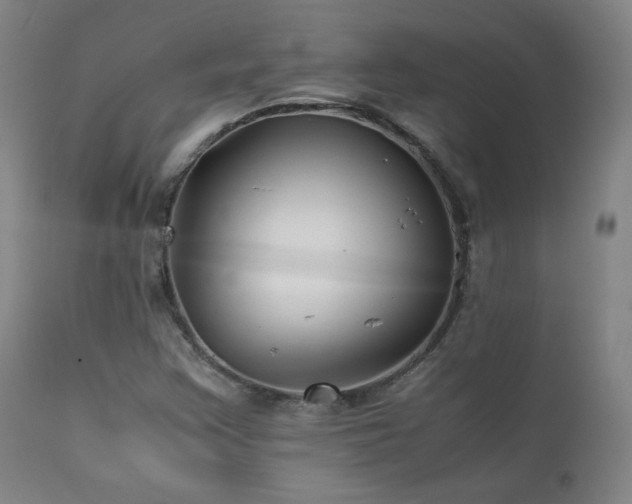 X0000111211355200907011433