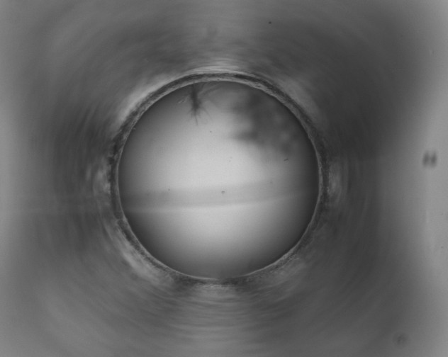 X0000111211356200907011433