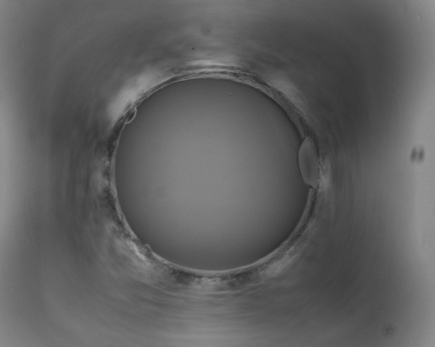 X0000111211357200907011433