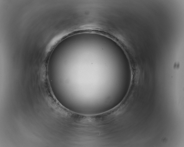 X0000111211358200907011433