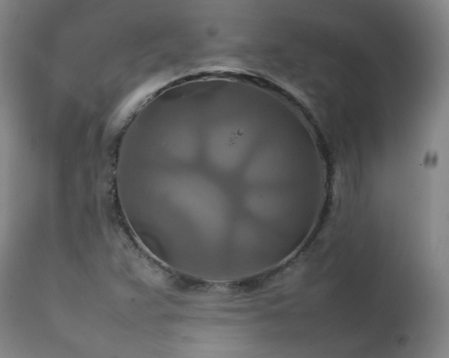 X0000111211359200907011433