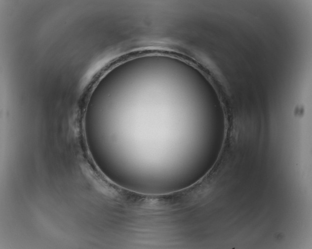 X0000111211360200907011433