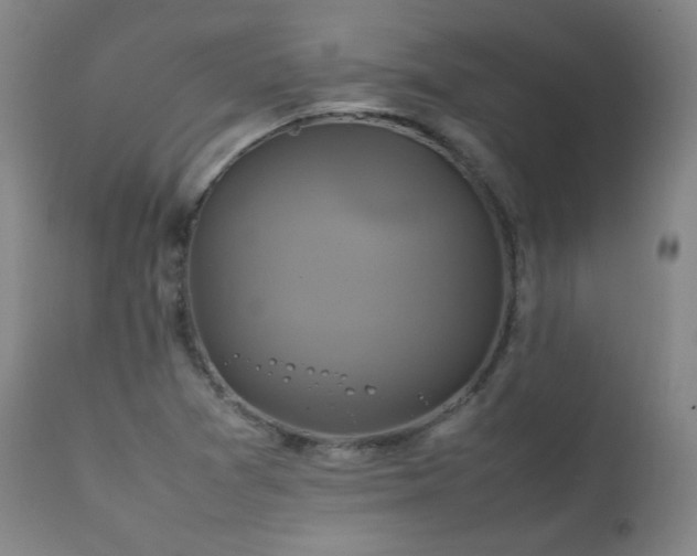 X0000111211361200907011433