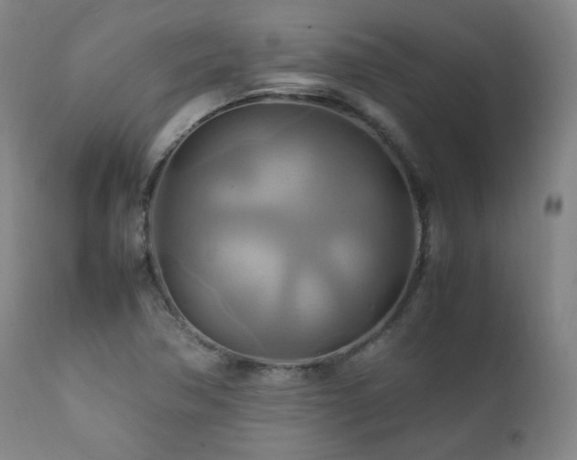 X0000111211362200907011433