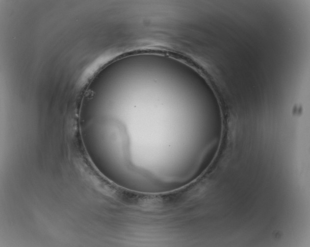 X0000111211363200907011433