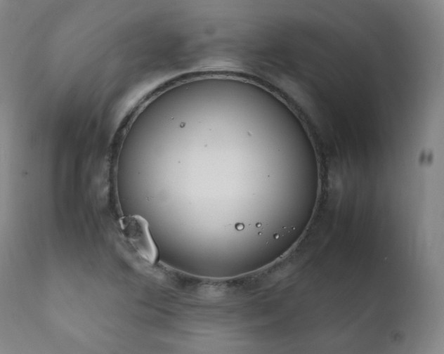 X0000111211364200907011433