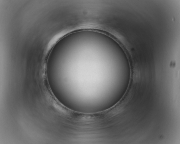 X0000111211366200907011433