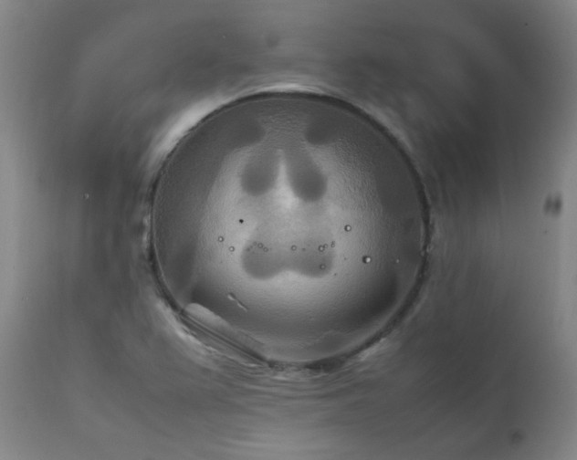 X0000111211367200907011433