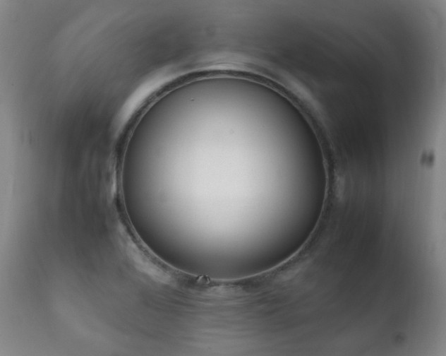 X0000111211368200907011433