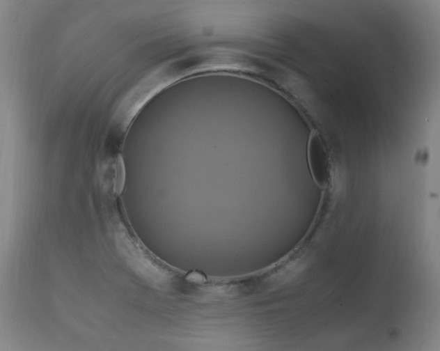 X0000111211369200907011433