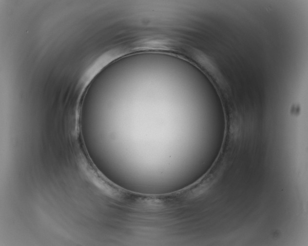 X0000111211370200907011433